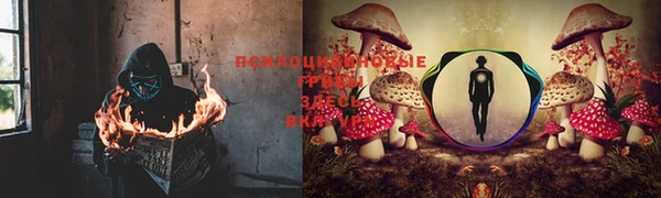 ГАЛЛЮЦИНОГЕННЫЕ ГРИБЫ Ачинск