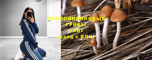 синтетический гашиш Богородск